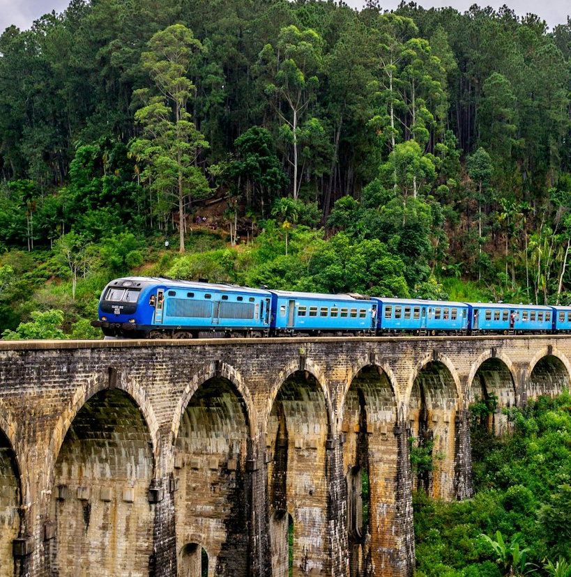 Scenic Countryside Train Adventure
